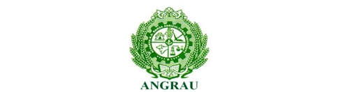 149 vacancies in Anglo-Guntur